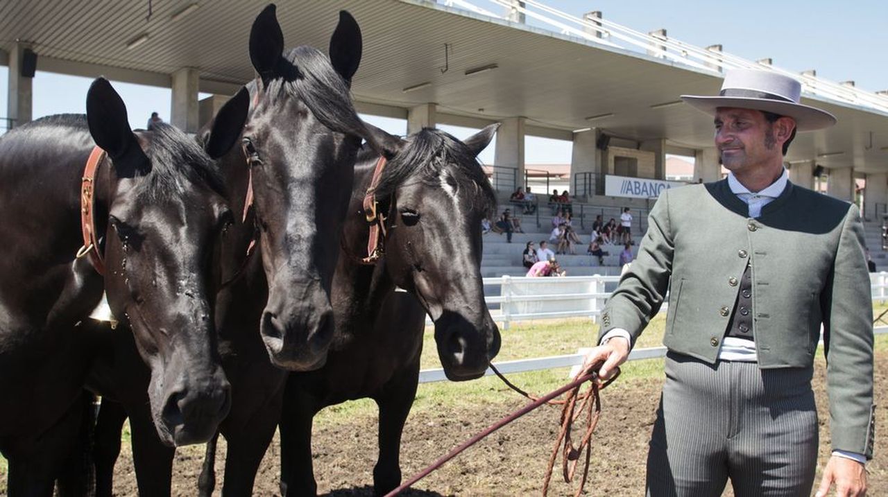 Elegancia Y Galanura Equina En El Recinto Ferial De Silleda