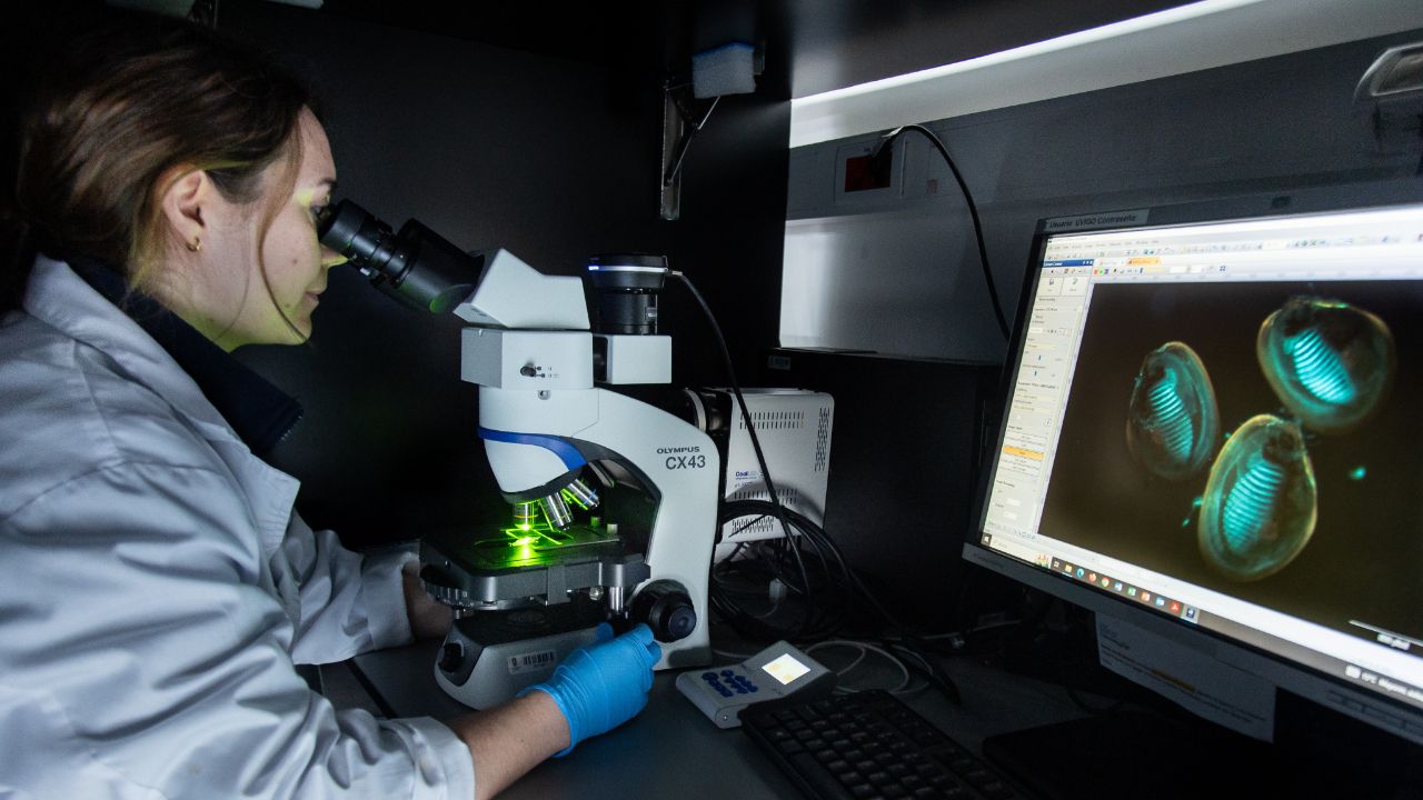 Entre 2022 y 2025, el programa ha movilizado a 14 entidades, 82 grupos de investigaci�n y 363 profesionales, con una muy alta dedicaci�n, cada d�a de estos tres a�os 114 personas trabajaron todo su tiempo en el Programa. Una masa cr�tica que ha permitido pasar de proyectos aislados a una red interconectada de actuaciones, generando 184 soluciones cient�fico-t�cnicas con aplicaci�n directa en el sistema marino y costero gallego.