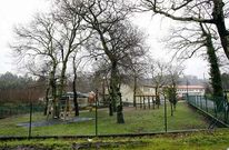 La carballeira de Vent�n tiene dieciocho �rboles dentro del recinto educativo.