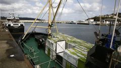 En primer t�rmino, el Arrigorri y el Nuevo Cristo del Buen Viaje, que permanecen amarrados en el puerto de Celeiro con las bodegas cargadas de merluza debido al paro del transporte. Y al fondo, varios barcos del Gran Sol que no han podido salir a faenar todav�a como consecuencia del citado paro, que tiene bloqueada y paralizada la cadena de funcionamiento de la pesca en Galicia