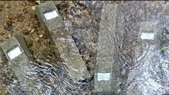 Los cuatro marcos de las nuevas fincas, en el cauce del r�o de Susavila, en Dodro