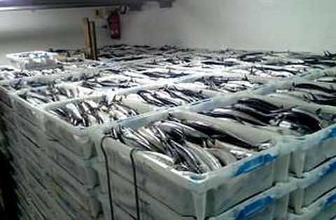 El pasado d�a 11 se incautaron 20 toneladas de xarda en un barco amarrado en Muros