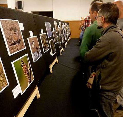 Los ni�os disfrutaron con la sesi�n de anillamiento de Pablo Pita, tras ver la exposici�n de fotograf�as.