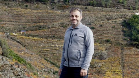 Pedro Rodr&iacute;guez, Gu&iacute;maro