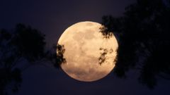 Luna rosa en Barbanza