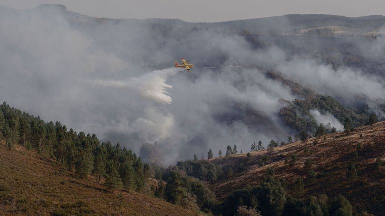 Los incendios en Galicia continúan avanzando y han arrasado cerca de 4. ...
