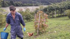 Andr�s Sardina Aneiros tambi�n cr�a gallinas en su finca de Esteiro, para la producci�n de huevos ecol�gicos