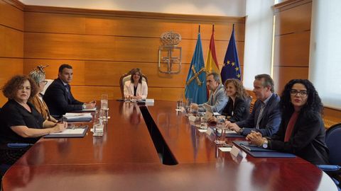 La presidenta en funciones, Gimena Llamedo, presidiendo el Consejo de Gobierno