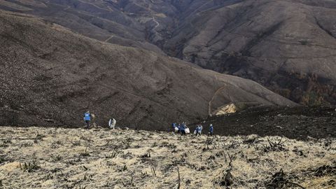 Voluntarios protegen los montes afectados por los incendios forestales en Vilamart�n de Valdeorras