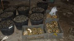 Imagen de archivo de una operaci�n contra el furtivismo