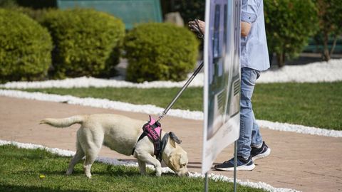 La cita sirvi tambin para presentar a Niebla, la nueva perra de terapia que se ha convertido en un miembro ms de la comunidad