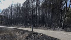 Vista general de los da�os producidos por el fuego en Villardeciervos, en Zamora