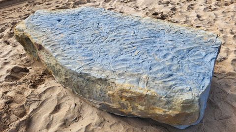 Uno de los bloques hallados en los acantilados de playa Espaa