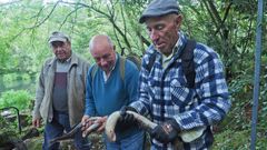La pesca de la lamprea, en im�genes