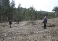 Miembros de la comunidad de montes de A Canicouva, en los terrenos de la futura planta. 