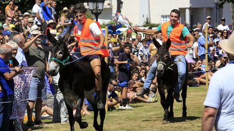 Dos jinetes tratan de hacer correr a sus animales para llegar antes a la meta