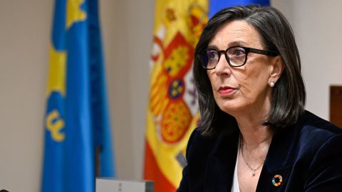 La exconsejera de Transici�n Ecol�gica, Industria y Desarrollo Econ�mico Nieves Roque��