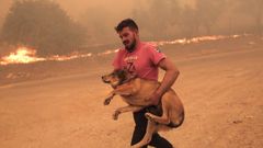 Los incendios en el norte de Grecia, en im�genes