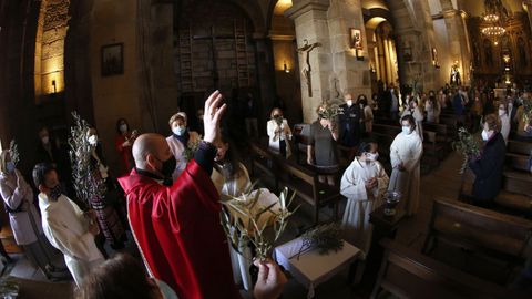 Bendici�n de ramos en Ribeira