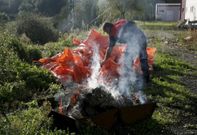 Quema de nidos y restos de velutinas en la sede de Proteccin Civil de Betanzos. 