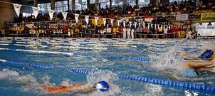 El Campeonato de Espa�a de Nataci�n de Invierno, que se celebr� del 27 de febrero al 2 de marzo, atrajo a unos 3.000 visitantes.