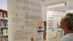 La exposici�n fue dise�ada por la Universidade da Coru�a