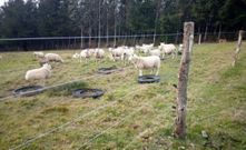 Tipo de cierre subvencionado por la Xunta