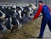 Unos 6.000 agricultores y ganaderos forman parte de sociedades de transformaci�n agraria.