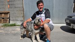 Nina, la perrita que perdi� el Camino