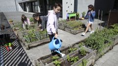 Los alumnos del CEIP Pluriling�e do Cami�o Ingl�s (en Oroso) tienen su propio dep�sito que recoge el agua de la lluvia y con ella riegan, de forma sostenible, cada d�a el huerto escolar. 