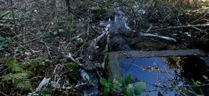 El Concello afirma que el agua llega de las escorrent�as y que son �nicamente pluviales. 