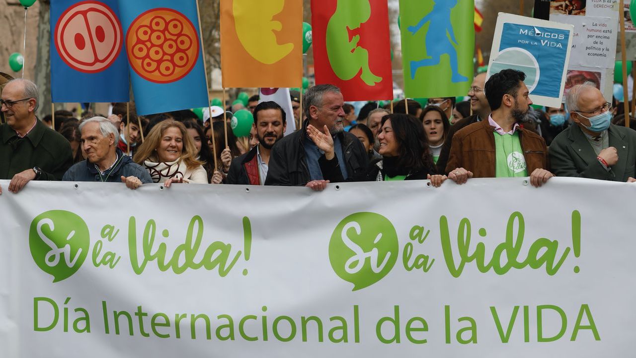 Miles de personas se manifiestan en Madrid contra el aborto y la eutanasia
