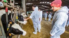 Jornada formativa de la EFA Fonteboa en una granja de Coristanco