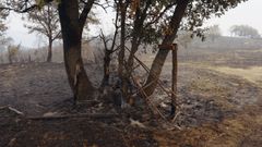 Incendio en Trives y Manzaneda