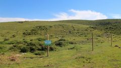 Zona de turbera en Vilacampa (O Valadouro) que se protege ahora con una cerca de madera