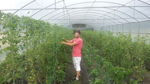 Uno de los miembros de la cooperativa, en in invernadero
