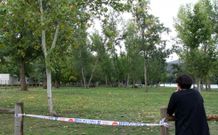 M�s de 330 �rboles han sido marcados para ser talados. 