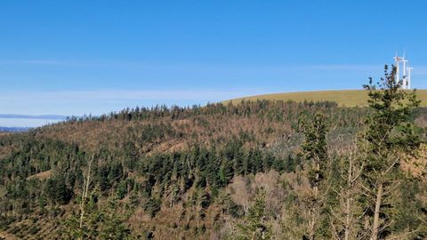 El problema de la banda marr�n est� presente en muchas comarcas del norte de Galicia