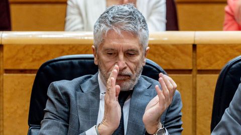 El ministro del Interior, Fernando Grande-Marlaska, durante la sesin de control al Gobierno en el Senado de hoy.