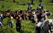 La Asociaci�n Rapa das Bestas muestra su inquietud si se merma el espacio para los animales. 