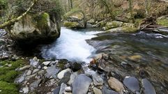 En el Ayuntamiento de Folgoso consideran las represas del Lor como parte del patrimonio local