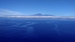 Fotograf�a facilitada por WWF del vertido de fuel del arrastrero ruso Oleg Naydenov que se encuentra muy cerca de Tenerife y La Gomera.