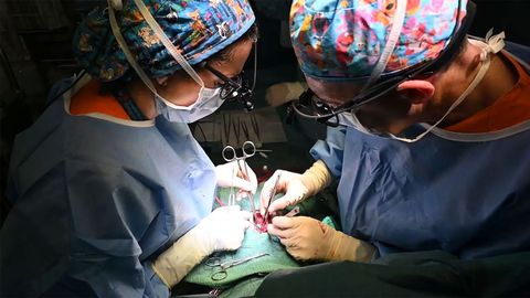 El Hospital General Universitario Gregorio Mara��n ha dado de alta a la peque�a Mariami, la ni�a de siete meses que ha sido la primera beb� menor de un a�o en recibir un trasplante parcial de coraz�n en Europa, un hito en cirug�a card�aca infantil.