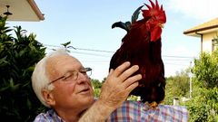 Manuel Vega, con su gallo.