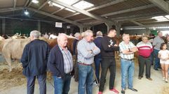 Gran afluencia en la cita ganadera de Friol