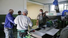 Curso de olivicultura celebrado el a�o pasado en Pazo do Rego