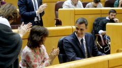 Pedro S�nchez, aplaudido por Carmen Calvo tras intervenir en el Senado, respondi� a quienes exigen la ilegalizaci�n de fuerzas secesionistas que �los problemas se solucionan, no se proh�ben�