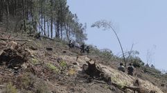 Momento en que los rescatadores retiran del lugar del accidente el cuerpo sin vida del trabajador fallecido