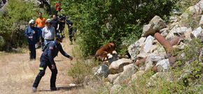 Por la ma�ana gu�as y perros demostraron su trabajo en el rescate de v�ctimas bajo escombros.