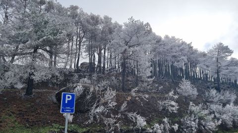 Primera nevada de la temporada en la estacin de esqu de Manzaneda.